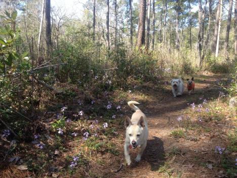 226436_10200674037482236_1479672185_n