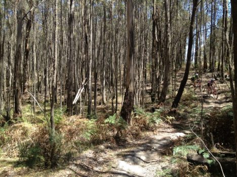 405665_10200529963800484_1132624728_n