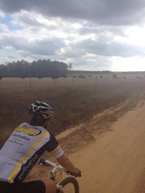 exploring some new-to-us unpaved roads