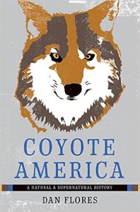 coyote america